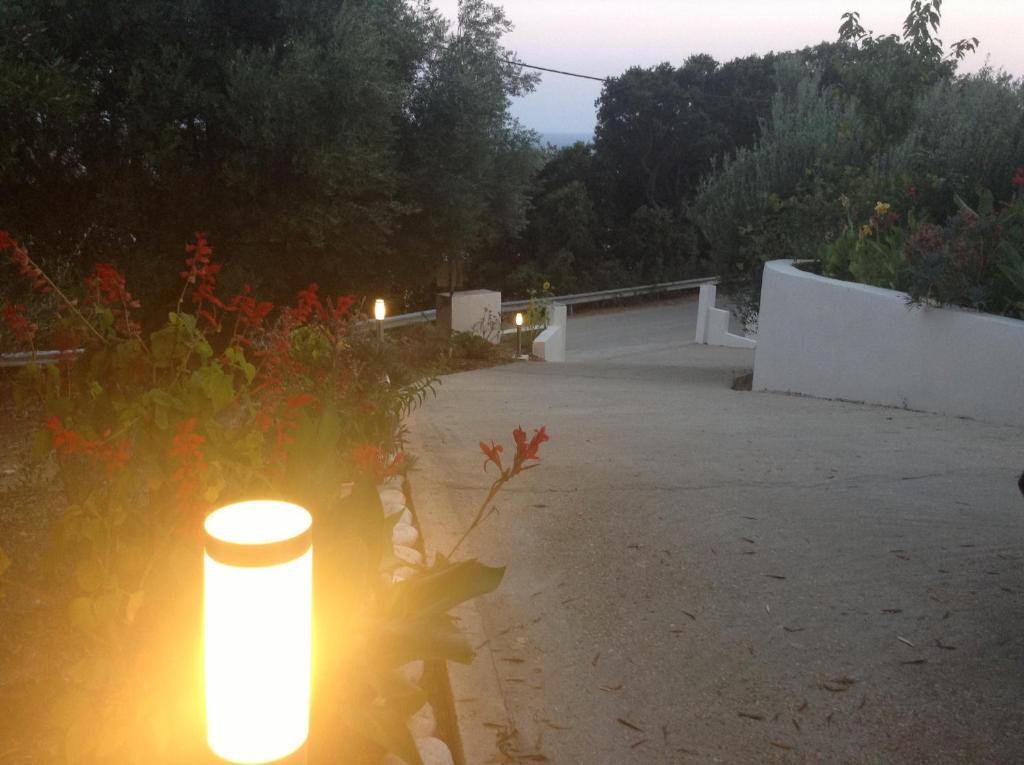 Anna Studios Lourdata (Kefalonia) Exterior foto