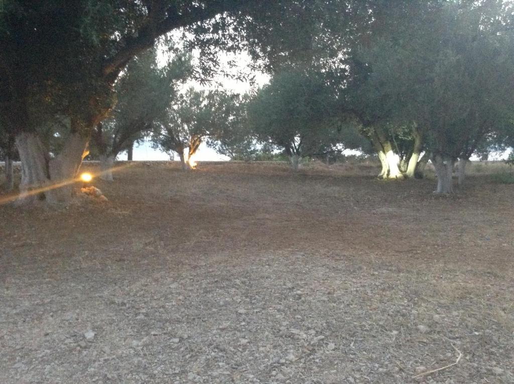 Anna Studios Lourdata (Kefalonia) Exterior foto